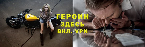 стаф Новодвинск